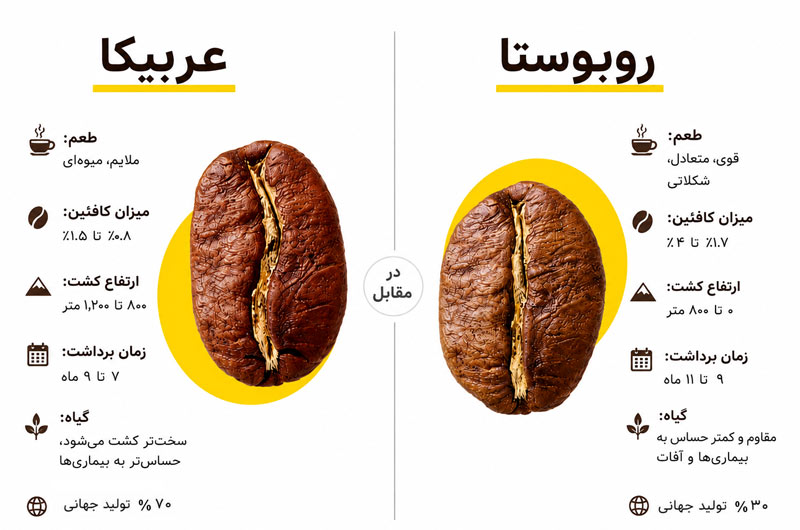 راهنمای خرید بهترین قهوه